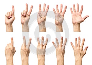 Male hands counting from one to five isolated photo