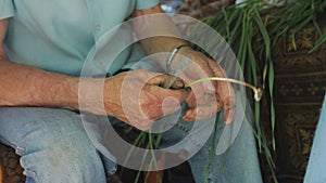 Male hands of an elderly man with a knife cut and peel green onions.