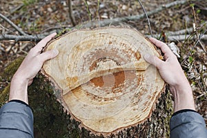 Male hands embracing a stump of felled tree