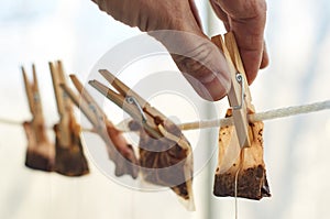 Male hands are hanging used tea bags for drying