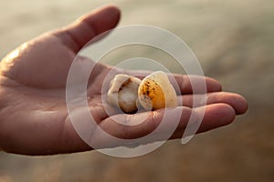 Male hands hold two pebble stones on a sunset background