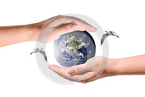 Male hands holding the earth with birds