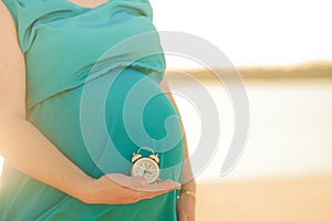 Male hands are holding a pregnant belly closeup and copy space. Pregnant in a blue dress and a clock in her hand, the concept of t
