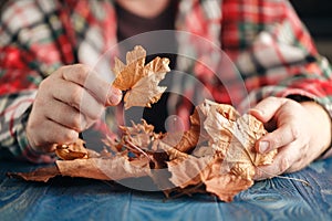 Male hands playing with dry leaves photo