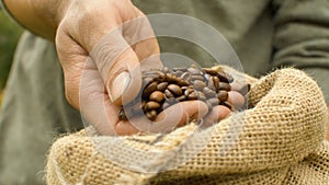 Male hands pouring coffee beans