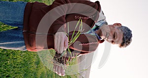 Male hands touching wheat sprouts on the field. Farmer checking health of vegetable or plant seedling.