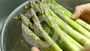 Male hands wash asparagus.