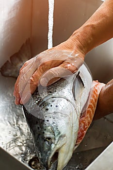 Male hands wash big fish.
