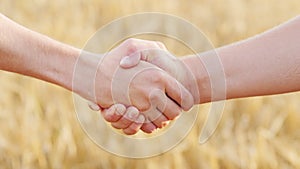 Male handshake of two farmers against the background of a yellow wheat field