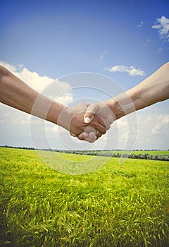 Male handshake on wheat field in summer time