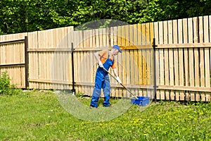 Male handyman wearing blue overalls paints wooden fence