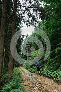 Male hiker with a backpack goes to the mountains on a trail in the woods, back view