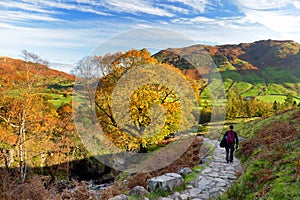 Male hiker exploring the Great Langdale valley in the Lake District, famous for its glacial ribbon lakes and rugged mountains