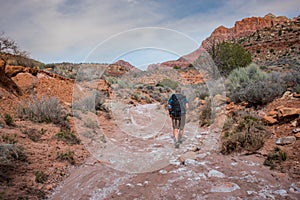 Male Hiker Exploring Wash Trail