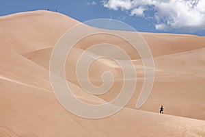 Male hiker stands on giant sand dune looking towards the blue sky in the Great Sand Dunes National Park in Alamosa, Colorado photo
