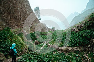 Male hiker walking through a wondrous misty landscape. Huge rocks surround a fertile ravine full of lotus plants. Santo