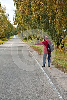 Male hitchhiker on autumn road photo