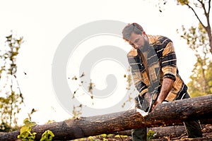 Male holding heavy ax. Axe in lumberjack hands chopping or cutting wood trunks