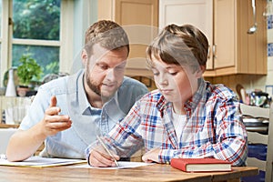 Male Home Tutor Helping Boy With Studies