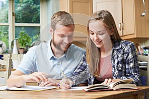 Male Home Tutor Helping Teenage Girl With Studies photo