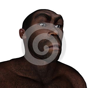 Male erectus angry - 3D render photo