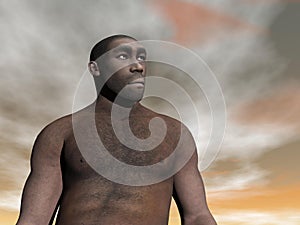 Male erectus - 3D render