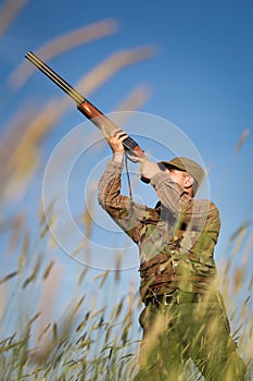 Male hunter on the hunting field