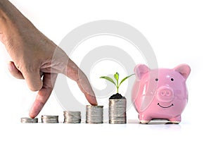 The male investor`s hand is placed on a pile of coins and trees growing on a pile of coins and piggy bank on white background.