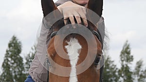 Male jockey caresses and petting brown stallion at nature. Young man stroking mane of horse outdoor. Guy riding