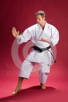 Male Karate Instructor