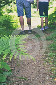 Male and kid legs hiking in nature. Father and son walking along the forest path. Concept of joint leisure, pastime or transfer of