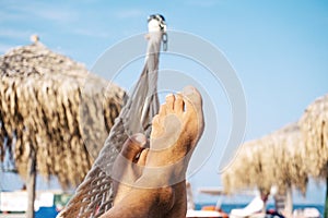 Male legs laying relaxed on hammock on tropical beach. Carefree.