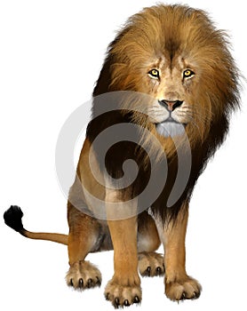 Male Lion, Wildlife Animal, Isolated