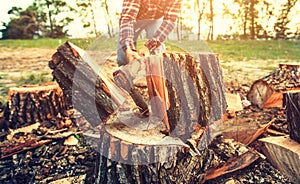 Male Lumberjack in the black-and-red plaid shirt with an ax chopping a tre