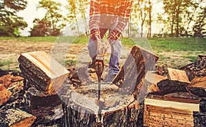 Male Lumberjack in the black-and-red plaid shirt with an ax chopping a tree