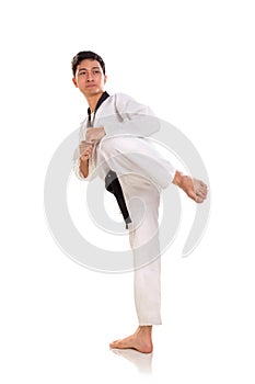 Male martial artist ready to kick, full length shot