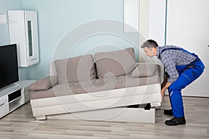 Male Mover Placing Sofa At Home