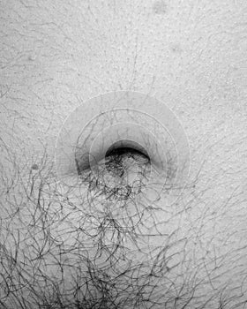 Male navel and hair on abdomen. Close-up. Black and white photo.