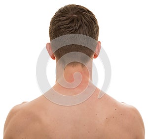 Male Neck Back isolated on white - REAL Anatomy