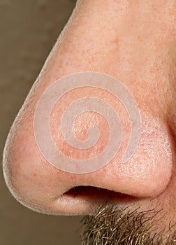 Male Nose Macro