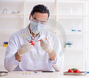 Male nutrition expert testing food products in lab