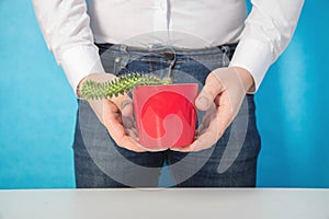 A male office worker holds a red pot with a cactus in his hands on a blue background. The concept of chronic diseases of