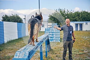 Male officer training police detection dog outdoors
