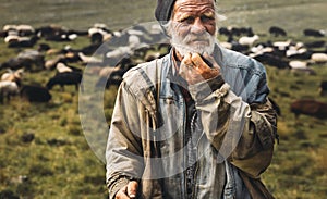 Male old shepherd is looking at camera on herd background. Farmer Professional Portrait Concept