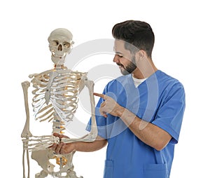 Male orthopedist with human skeleton model on background