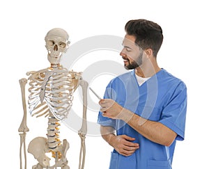 Male orthopedist with human skeleton model on background
