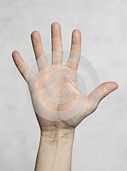 Male palm hand