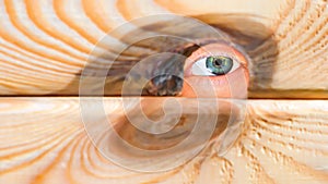 Male person hide behind a wooden wall. An eye looks through a gap in the wall. A man behind a wooden wall looks through