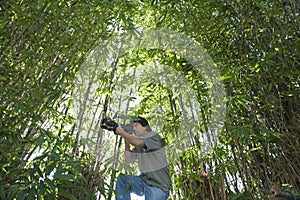 Male Photographer In Bamboo Forest