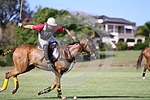 Male Polo Player